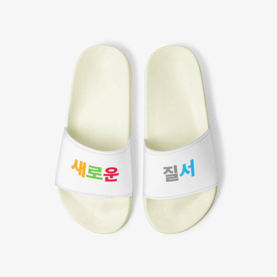 새로운 질서 슬리퍼